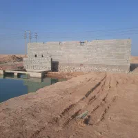 فروش پرورش میگو رودشور|فروش زمین و ملک کلنگی|ریگ, |دیوار