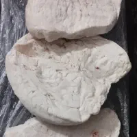 چربی تازه دنبه گوسفندی بالا یک کلیو