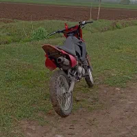 تریل جی وای 150 cc