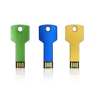 فلش ۱۶ گیگ با طرح کلید