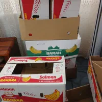 فروش تعدادی کارتن موزی و کارتن ضایعات