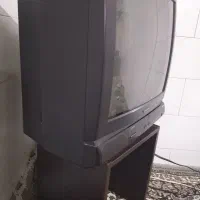 تلوزیون|تلویزیون و پروژکتور|قم, شهید صیاد شیرازی|دیوار