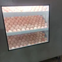 دستگاه جوجه کشی|عمدهفروشی|کازرون, |دیوار