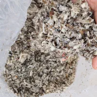 خوراک گاو و گوسفند