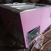 خیجال مرغ|فروشگاه و مغازه|ماهنشان, |دیوار