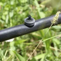 آبیاری قطره ای ،مه پاش و گرین وال