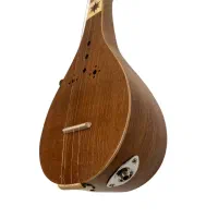 سه تار پیکاپ‌ دار هامون طرح‌دار ویژه|سازهای سنتی|تهران, آذربایجان|دیوار