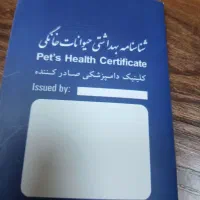 سگ ژرمن|سگ|پلنگ آباد, |دیوار