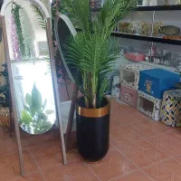 درختچه مصنوعی|گل مصنوعی|بهبهان, |دیوار