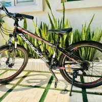 دوچرخه ۲۴ راپیدو