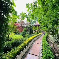 ساخت ویلای شما با معمار و مهندس ناظر ٪مبلغ بهینه|مشارکت در ساخت املاک|چمستان, |دیوار