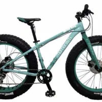 دوچرخه جاینت