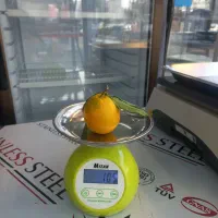 وزن کشی مواد آشپزخونه ترازو ۵ کیلو فانتزی ۱۹۵۰|سایر لوازم برقی|رشت, یخسازی|دیوار