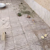 جوجه خرگوش عروسک