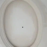 گچکاری|خدمات پیشه و مهارت|رشت, حمیدیان|دیوار