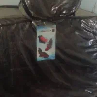 صندلی آرایش|آرایشگاه و سالنهای زیبایی|شاهینشهر, شهرک سایت|دیوار