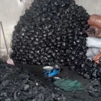 پخش زغال کبابی