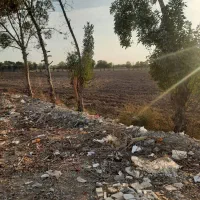 زمین کشاورزی|فروش دفتر صنعتی، کشاورزی، تجاری|ری, شهرک نظامی|دیوار