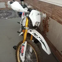 تریل دینو 1403