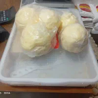 لبنیات|خوردنی و آشامیدنی|زنجان, |دیوار