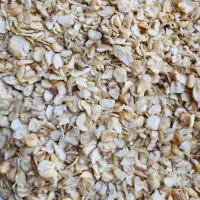 سیر خشک|عمده‌فروشی|گناباد, |دیوار