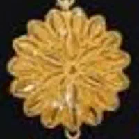 یک تیکه گل گوشواره گمشده اگه کسی پیدا کرد پیام بده