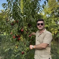 نمایندگی رسمی صنوبر در غرب نهال|خدمات باغبانی و درختکاری|سلمان‌شهر, |دیوار