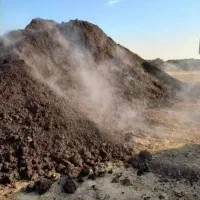 کود گاوی   (بهترین زمان بعد بارش باران و برف)