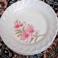 بشقاب ۲دسته وقیمه خوری۷دانه است