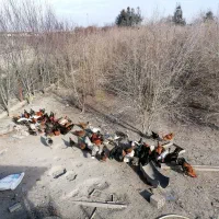 تعداد مرغ و خروس، کبوتر به فروش میرسد|حیوانات مزرعه|بندر گز, |دیوار