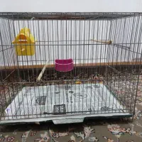 قفس پرنده