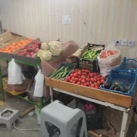 لوازم میوه فروشی