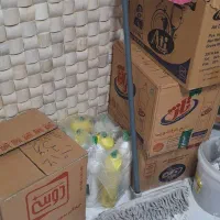 فروش اجناس مغازه جمع شده شوینده و یکبارمصرف|مواد شوینده و دستمال کاغذی|تهران, تسلیحات|دیوار