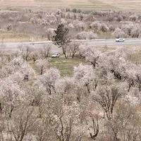 باغ ویلا 60میلیون تومان،اقساط و 100متر زمین رایگان|فروش زمین و ملک کلنگی|خمین, |دیوار