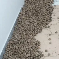 گردوی مرغوب ملابر  مغز پر وشیرین|حراج|بیستون, |دیوار