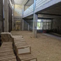 رهن و اجاره. مغازه