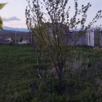 با این شماره تماس بگیرید