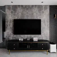 ایکس ویژن 55