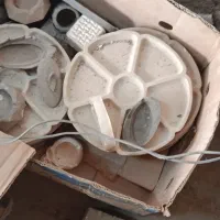 گلدان|گل و گیاه طبیعی|سامن, |دیوار