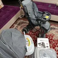 سیسمونی نوزاد