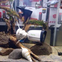 دوربین مداربسته تیاندی وارداتی