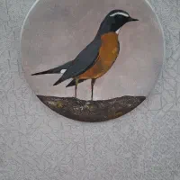 سینه سرخ ایرانی