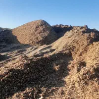 دانه پنبه و غوزه و کچاله برای خوراک دام اردبیل|عمده‌فروشی|زرندیه, |دیوار