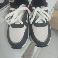 کتونی نو|کیف، کفش، کمربند|پردیس, فاز ۵|دیوار