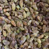 کشمش سبز بندی بدونه تیز ابی