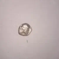 مدال کلکسیونی|جواهرات|قم, پردیسان|دیوار