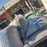 تخمه درجه یک  کرمانشاه موجود است