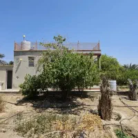 باغ شهری جنت فروش فوری زیر قیمت|فروش خانه و ویلا|لار, |دیوار