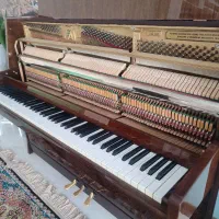 پیانو آکوستیک پتروف PETROF ساخت چک|پیانو، کیبورد، آکاردئون|فردیس, فردیس|دیوار