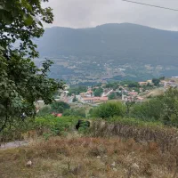 فروش زمین سوادکوه روستای سرسبز کلاریجان|فروش زمین و ملک کلنگی|آلاشت, |دیوار